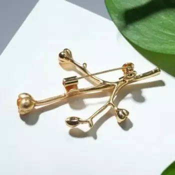 Брошь "Цветы" сухоцвет, цвет золото