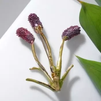 Брошь «Камыш», цвет фиолетово-зелёный в золоте