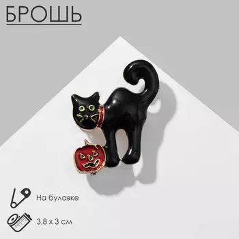 Брошь «Кот» хвостатый с тыквой, цветная в золоте