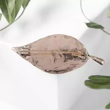 Брошь "Лист" с ракушкой, цвет чёрный в чернёном кофейном золоте