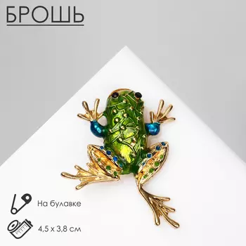 Брошь «Лягушка» с узором, цветная в золоте