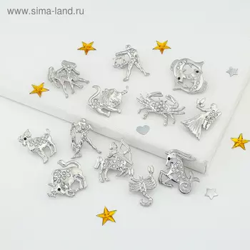Брошь «Знаки зодиака» ассорти, гороскоп, белая в серебре
