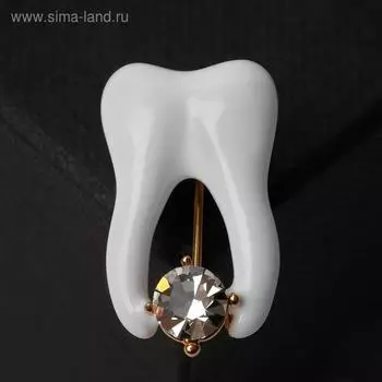 Брошь «Зуб» со стразой, цвет белый в золоте