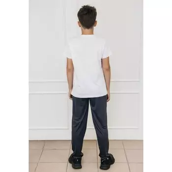 Брюки детские, рост 164 см, цвет серый