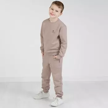 Брюки для мальчиков, рост 104 см, цвет капучино