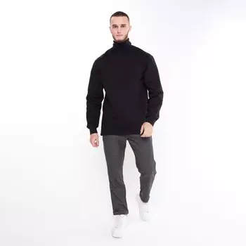 Брюки мужские, цвет серый, размер 58 рост 188