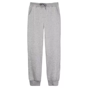 Брюки мужские, размер 46, цвет серый