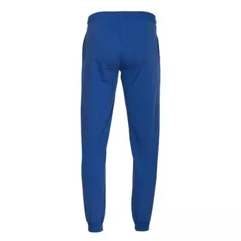 Брюки мужские, размер 46, цвет синий