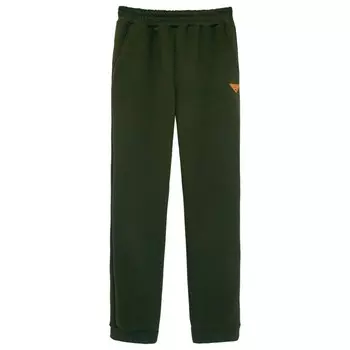 Брюки мужские, размер 48, цвет хаки