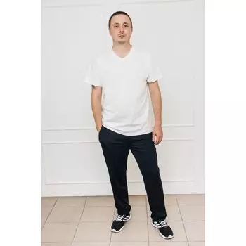 Брюки мужские, размер 50, цвет чёрный