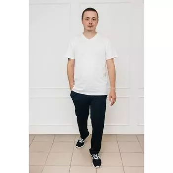 Брюки мужские, размер 50, цвет синий