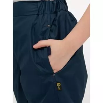 Брюки, рост 164 см, цвет синий