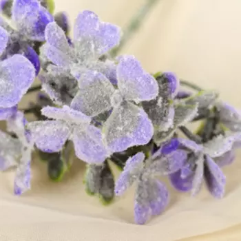 Букет "Аихризон" с напылением (цена за 1 веточку, фасовка 6 веточек) 18 см, микс