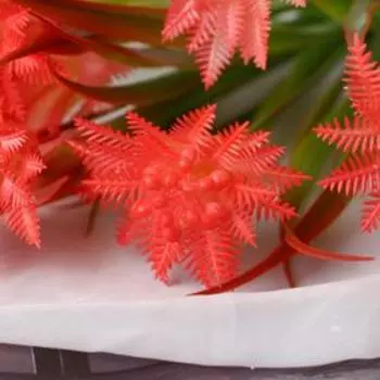 Букет "Альбиция" 30 см, микс