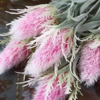 Букет искусственный «Альбиция», 32 см, МИКС