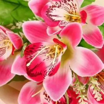 Букет "Альстромерия" 24 см, микс