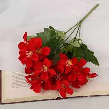 Букет «Альстромерия элит», 529 см, МИКС