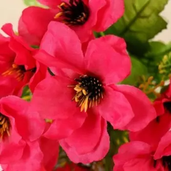 Букет "Амсония" 28 см, микс