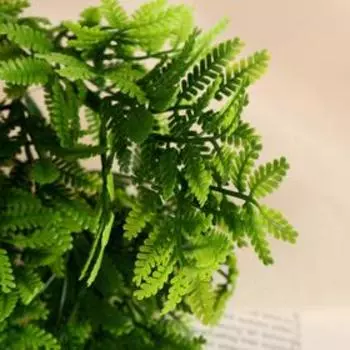 Букет искусственный «Араукария», 28 см