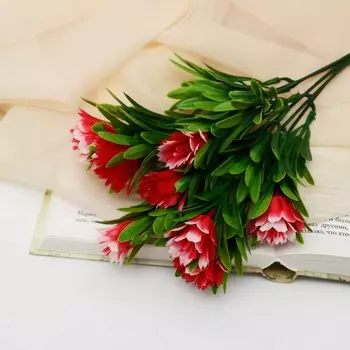 Букет «Арктотис», h=25 см, МИКС