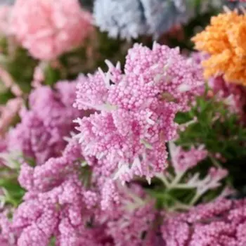 Букет "Астильба" 28 см, микс