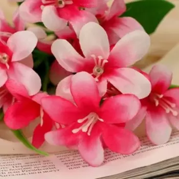 Букет искусственный «Бальзамин Импреза», 528 см, МИКС