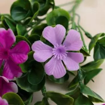 Букет "Брунфельсия" 37 см, микс