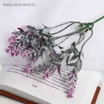 Букет искусственный «Чабрец», 23 см, МИКС