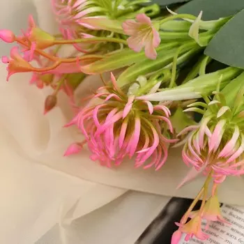 Букет «Чертополох галант», 24 см, МИКС