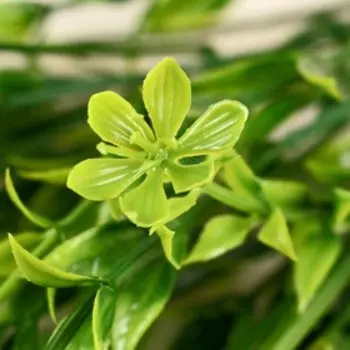 Букет "Цветочки нежные" 29 см, микс