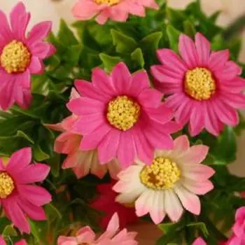 Букет «Дахлия», 32 см, МИКС