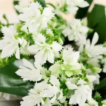 Букет искусственный «Декабрист», 26 см