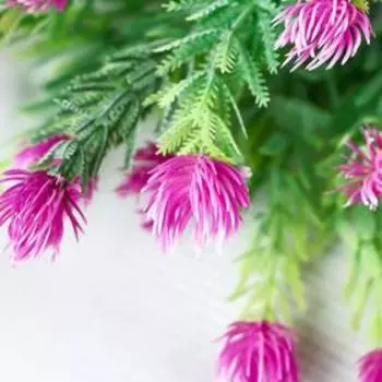 Букет "Еловые пушистики" 28 см, микс