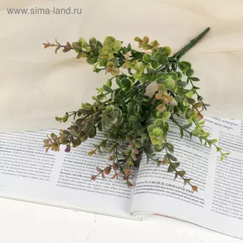 Букет «Фикус. Домашний», h=32 см