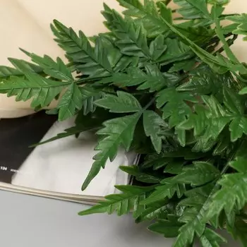 Букет «Филодендрон изящный», h=27 см, зелёный