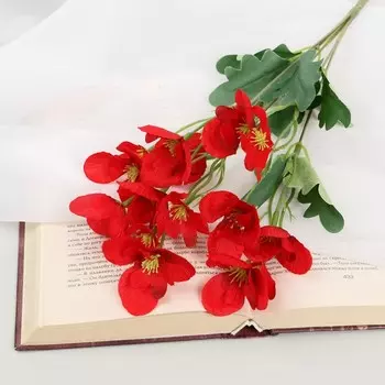 Букет «Бегония гибридная», 329 см, МИКС