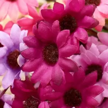 Букет "Гацания" 25 см, микс