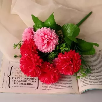 Букет «Георгина Элизабет», 526 см, МИКС