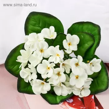 Букет «Герань душистая», 417 см, белый