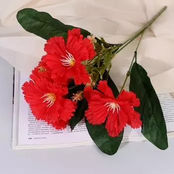 Букет «Гибискус галант», 729 см, МИКС