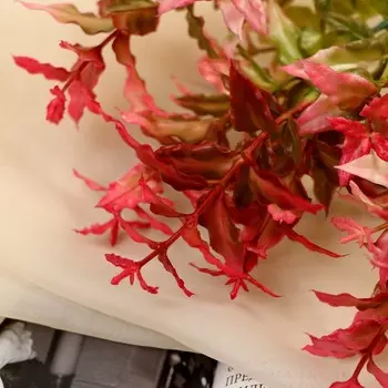 Букет «Гигрофила», 23 см, МИКС