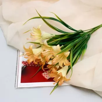 Букет «Хоста поздняя», 530 см, МИКС