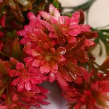 Букет "Хризантема мини" 28 см, микс