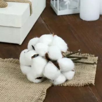 Декор сухоцвет «Хлопок», h=8 см, d=5 см