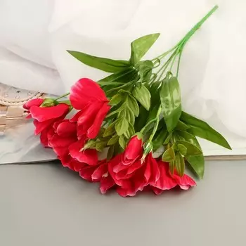 Букет «Эустома галант», 5.530 см, МИКС