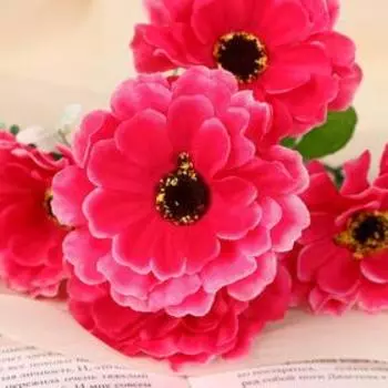 Букет «Каланхоэ», 28 см, МИКС