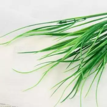 Букет искусственный «Канареечник», h=30 см