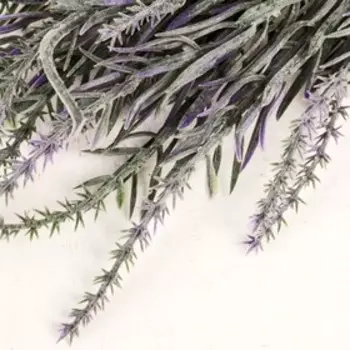 Букет "Колапис" 29 см, микс