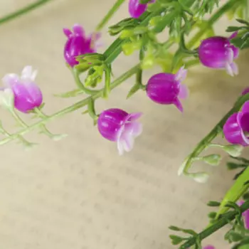 Букет "Колокольчики" мелкие 25 см, микс