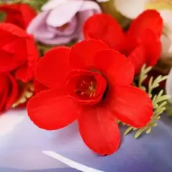 Букет "Курупита" 37 см, микс